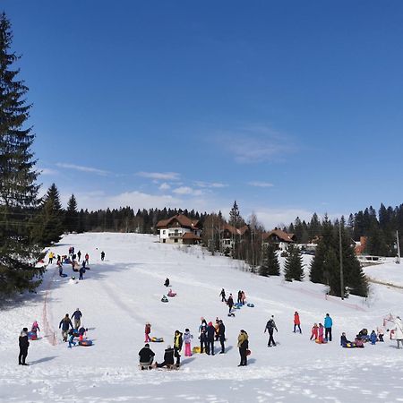 Apartmani Suncani Breg Tara ミトロバツ エクステリア 写真