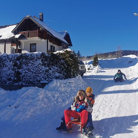 Apartmani Suncani Breg Tara ミトロバツ エクステリア 写真