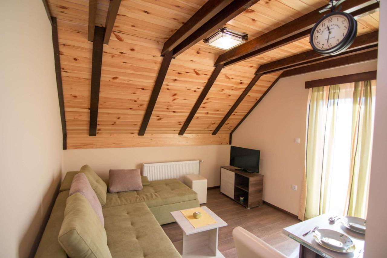 Apartmani Suncani Breg Tara ミトロバツ エクステリア 写真