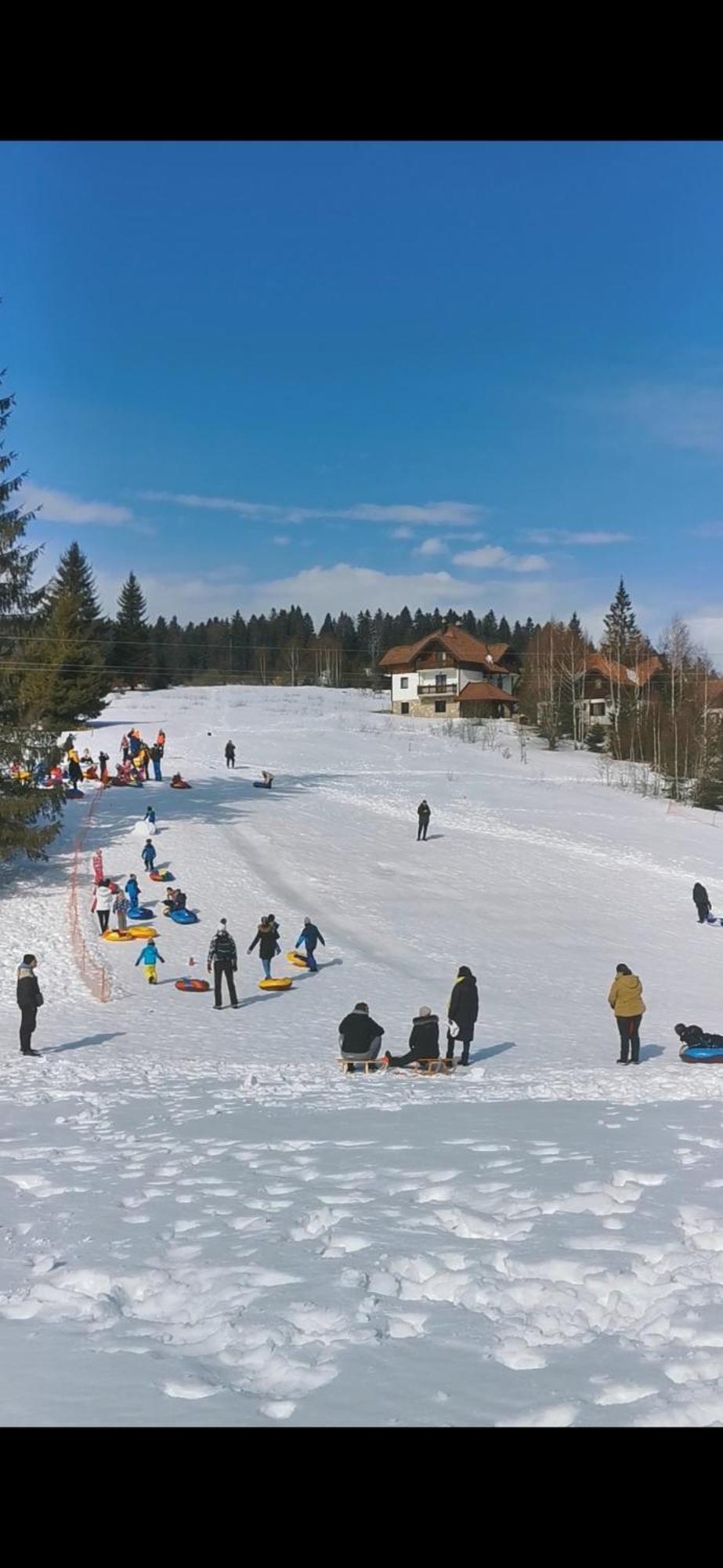 Apartmani Suncani Breg Tara ミトロバツ エクステリア 写真