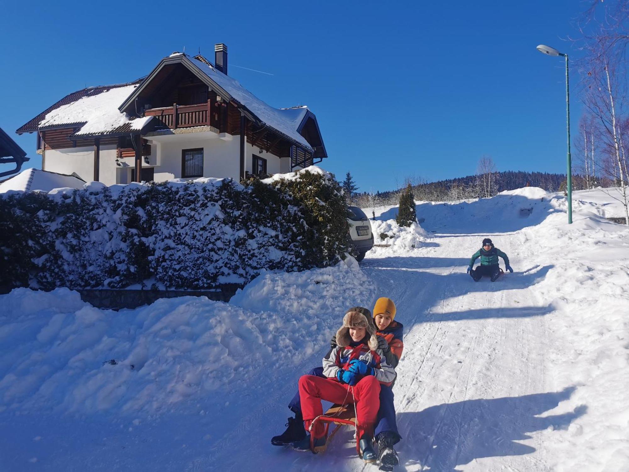 Apartmani Suncani Breg Tara ミトロバツ エクステリア 写真
