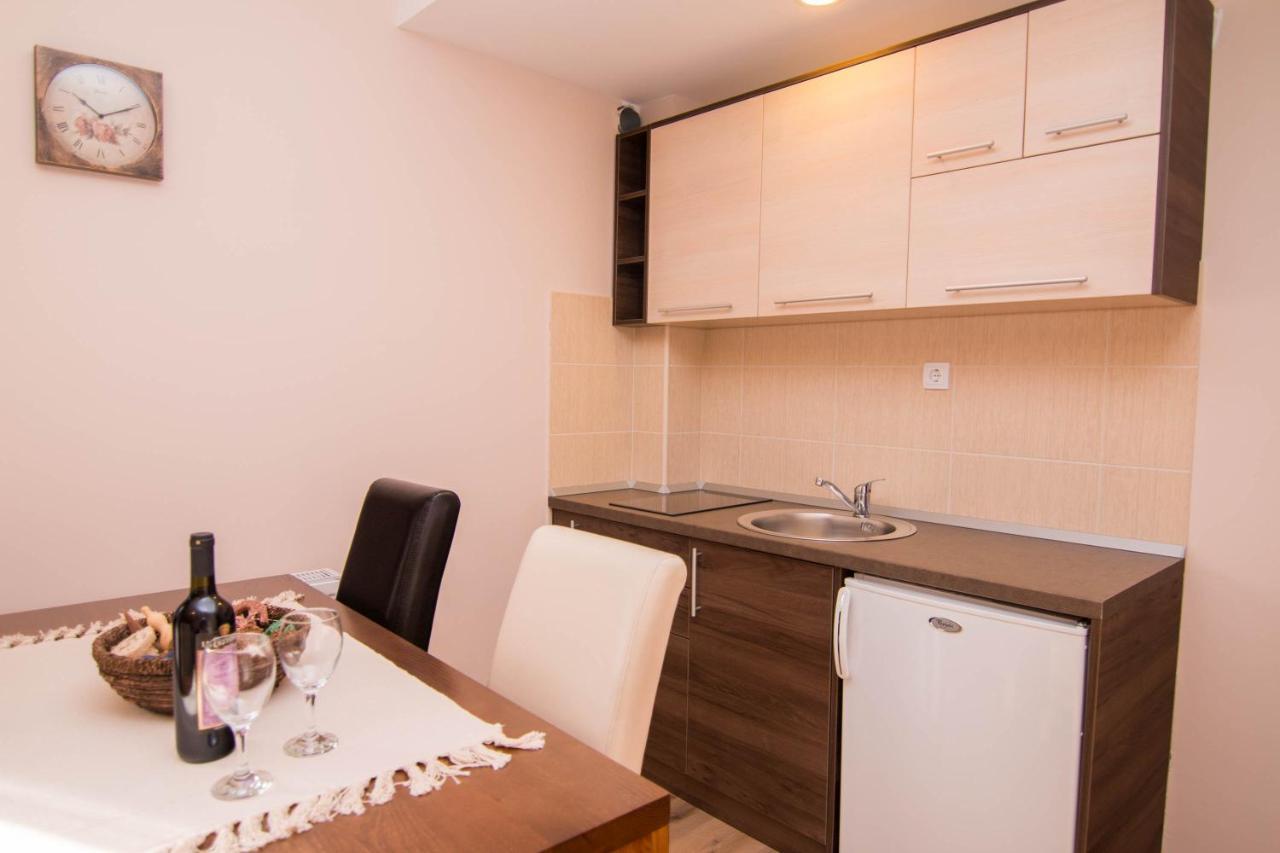 Apartmani Suncani Breg Tara ミトロバツ エクステリア 写真