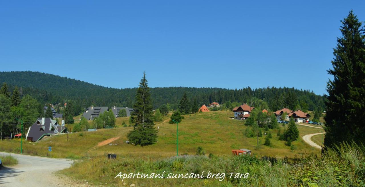 Apartmani Suncani Breg Tara ミトロバツ エクステリア 写真
